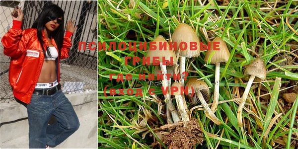 PSILOCYBIN Алексин