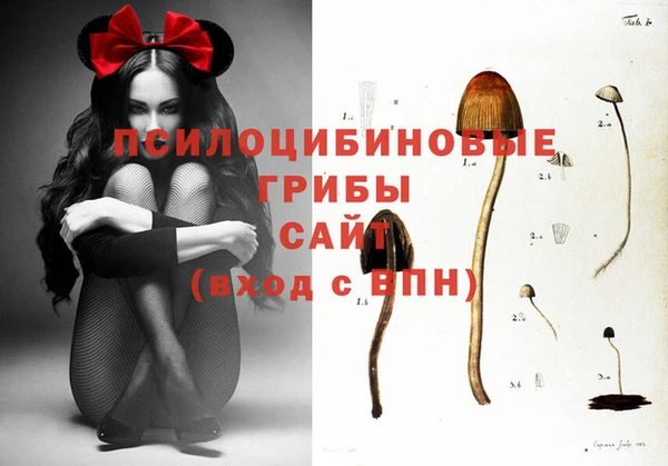 не бодяженный Надым