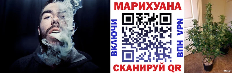 Канабис гибрид  Шимановск 